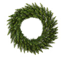 Vickerman Camdon Fir Artificial Christmas Wreath — 24 in, Unlit