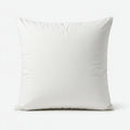 Throw Pillow Inserts 18 x 18 in — 2 Pack (Down Alternative)